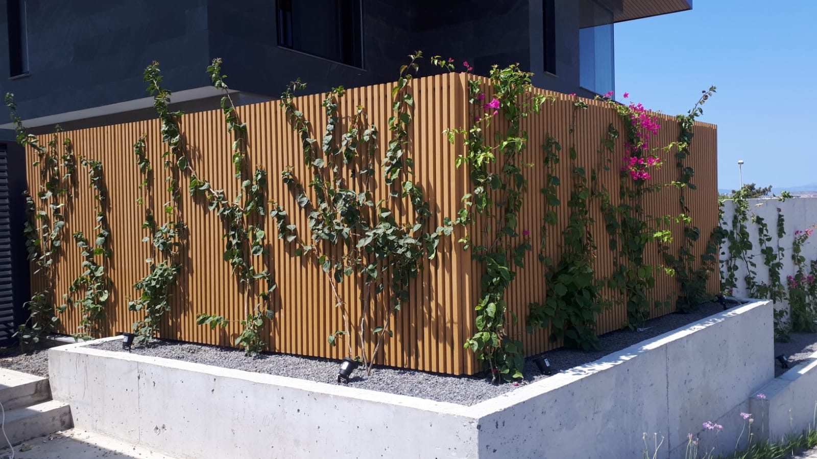 Ivy-covered garden partition wall finished with composite wall cladding